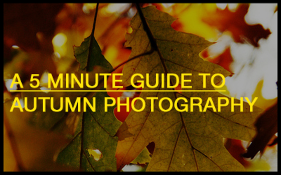A 5 Minute Guide to Autumn Photography