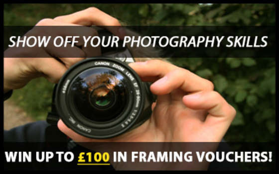 Best4Frames - Photo of the Month Competition: July 2015