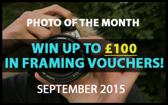 Best4Frames - Photo of the Month Competition: September 2015