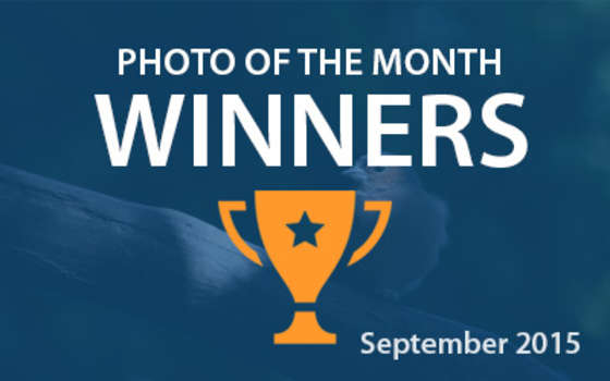 Best4Frames - Photo of the Month Competition: September 2015 WINNERS