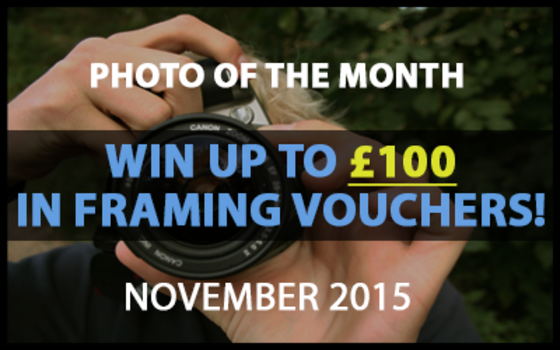 Best4Frames - Photo of the Month Competition: November 2015