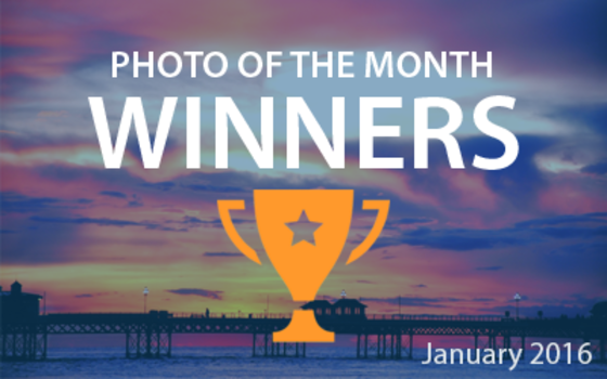 Best4Frames - Photo of the Month Competition: January 2016 WINNERS