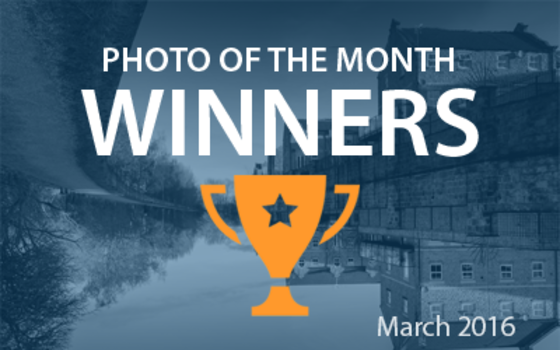 Best4Frames - Photo of the Month Competition: March 2016 WINNERS