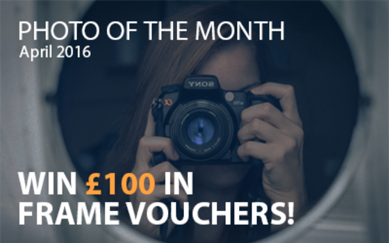 Best4Frames - Photo of the Month Competition: April 2016