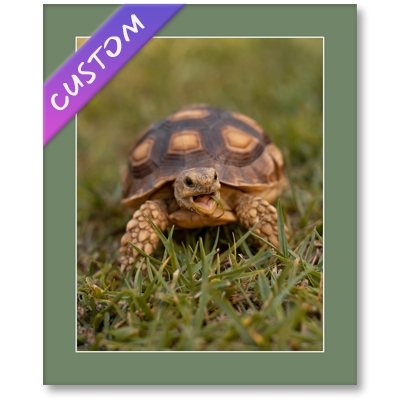 Custom picture mounts online at Best4Frames