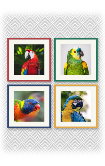 Custom size frames and colours