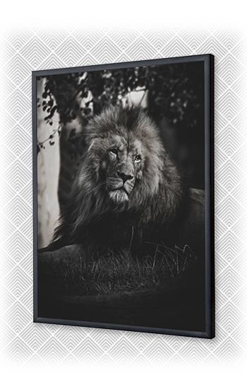 ready made picture frames 