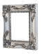 Swept Frame Silver (UNGLAZED) picture frame